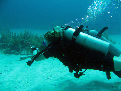 Navigation Dive - An 8-point course